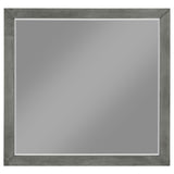 Nathan - Dresser Mirror - Gray