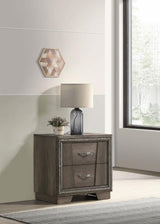 Janine - 2-Drawer Nightstand - Gray