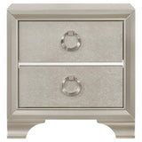 Salford - 2-Drawer Nightstand - Metallic Sterling