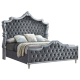 Antonella - Upholstered Panel Bed