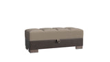 Ottomanson Armada - Convertible Storage Ottoman